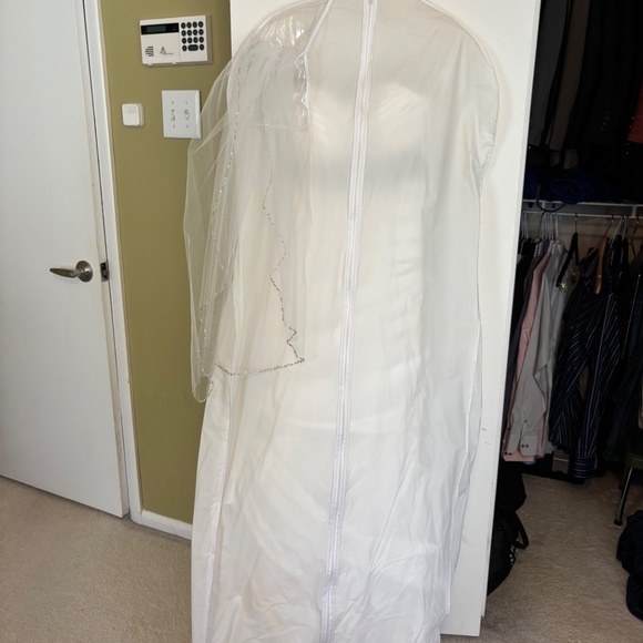 Wedding Dress - Picture 11 of 12